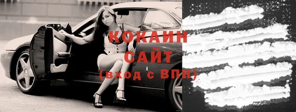 прущие грибы Барнаул