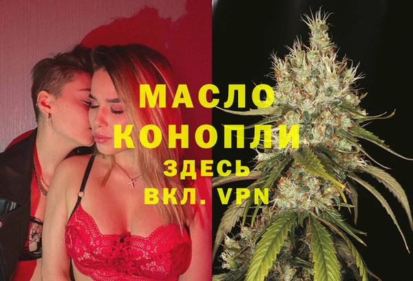 гашик Алексеевка