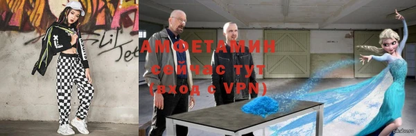 гашик Алексеевка